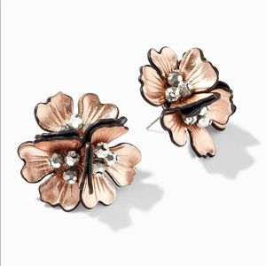 Stella and Dot Earrings